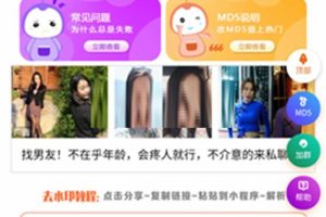 网站源码,QQ去水印小程序源码全新系统