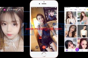 最新完全开源布谷系统直播源码,布谷一对一视频直播源码+ APP源码