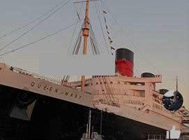 YYC松鼠短视频系统V1.7版本免费分享