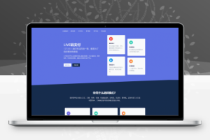 网站源码,live三网免挂全网INTL三网免挂码支付源码去除云端限制