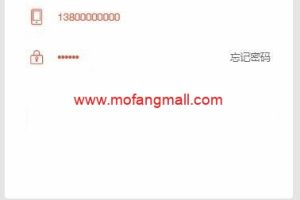 免费分享2020新版京东淘宝拼多多自动抢单系统源码