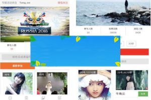 功能模块 投票活动V9.1.3_源码下载