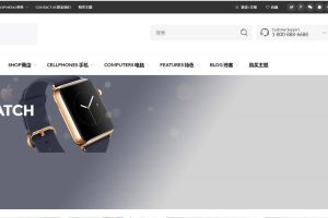 C255 wordpress主题_购物商城主题源码电子商务外贸网站汉化版