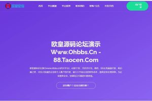 C194 支付源码_易商支付代付系统源码