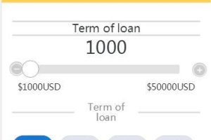 C138 金融源码_英文版小额借款平台,已查杀木马