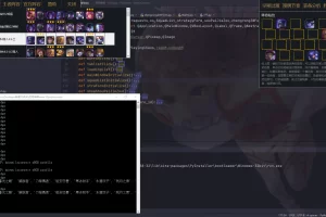 C4【资源实测】英雄联盟云顶之奕赌狗神器自用自动拿牌python界面版源码+成品软件