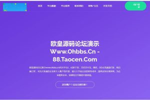 C194 支付源码_易商支付代付系统源码