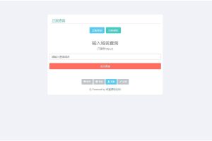 K356 翼王定制授权系统+盗版追踪+域名IP双授权+在线加密系统