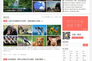 织梦仿新版阿里百秀织梦模板 织梦博客文章资讯源码 PHP网站模板