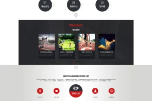 A778 白色金融投资网站织梦dede模板源码[带手机版数据同步]