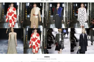 A935 咖啡色服装品牌网站织梦dede模板源码[自适应手机版]