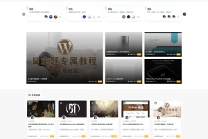 K255【首发】真正的日主题RiPro v8.1破解版（修复缓存器功能）