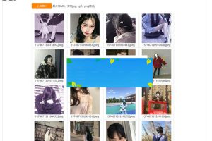 PHP京东图床外链上传+瀑布流图片展示源码_源码下载