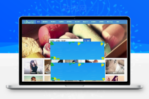 帝国CMS内核92kaifa《优美图库》美女图片大全网站源码 带手机版_源码下载