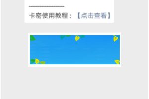 功能模块 VIP卡密助手1.0.5 原版_源码下载