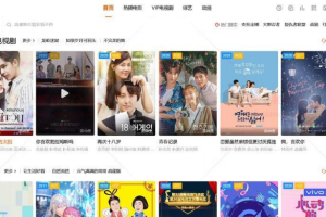 苹果cms海螺影视模板/大橙子模板/仿B站模板/v7模板/带手机移动端+详细安装使用说明