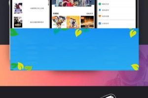 2019新UI新版JAVA原生双端影视APP投屏影视APP源码_源码下载