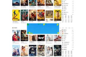 NMKCMS米酷影视6.0开源源码 全新改版自动采集VIP影视系统_源码下载