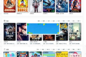 2019最新修复版飞猫云影视系统5.2.3源码 附带支付和代理功能_源码下载