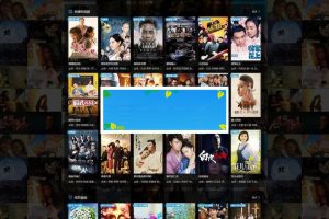 功能模块 VIP视频电影PC建站cms 3.1.4 官方原版_源码下载