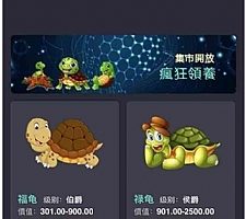 全新独立开发幸运吉祥鸟区块龟区块鸟源码 完美运营接单版本