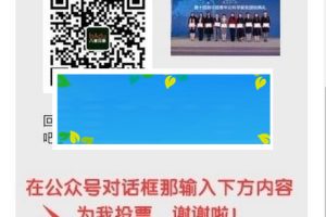 功能模块 八度投票 高级版 2.2.22_源码下载