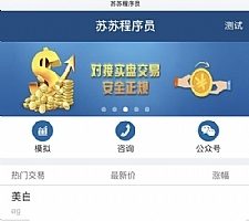 最新的微盘点位盘源码 功能超级全带股票