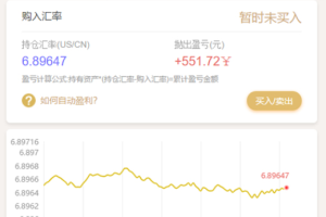 【白色新版币圈】最新完美运行美元币圈+安装教程+[已接支付]