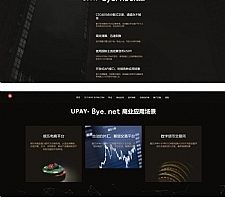 亲测最新upay数字火币支付，USDT支付/数字货币承兑系统/支持ERC20 OMNI/代理商/第三方支付接口