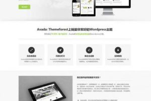 多功能WordPress企业主题AvadaV5.8.2版本去授权无限制