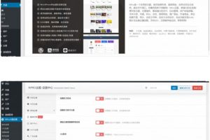 RiPro6.3.8日主题修复版WordPress资源下载站主题模板去后门和加密
