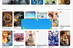 苹果cmsv10大橙vfed3.1.5完美破解视频网站主题模板