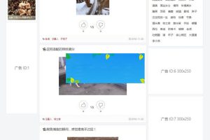 帝国CMS内核92kaifa《搞笑GIF》动画图片笑话网源码带手机版