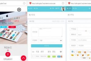 PHP星梦授权系统6.0源码全解密无后门