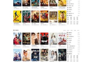 NMKCMS米酷影视6.0开源源码全新改版自动采集VIP影视系统