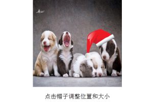 QQ头像加上圣诞帽子在线生成源码