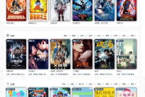 2019最新修复版飞猫云影视系统5.2.3源码附带支付和代理功能