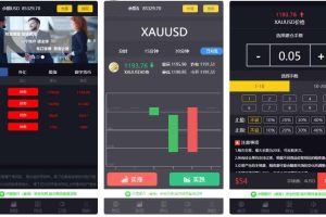 【美金点位盘】金融外汇交易所带风控功能源码下载