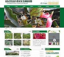 绿色火龙果苗批发火龙果种植基地网站源码 织梦dedecms模板