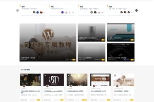 【首发】真正的日主题RiPro v8.1破解版（修复缓存器功能）