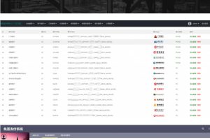 [修复版]个人支付源码_支付系统源码下载/支付宝网银/支付宝网关软件/PC端监控+文字教程