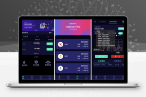 网站源码,lEO数值资产系统某平台新版本c2c币数值合约交易平台自动撮合松机器人功能