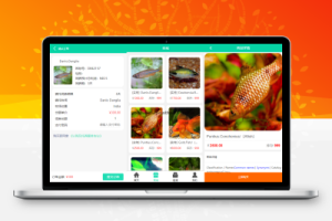 养鱼金融投资理财源码支持商城抽奖投资收益余额宝等！双语言支持中英文