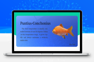 养鱼金融投资理财源码, 理财系统源码,站长亲测可用(文字教程)