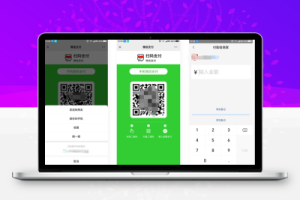 微信支付宝QQ三合一支付码生成源码